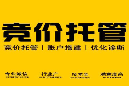 解析百度竞价排名的效果评估与优化方法